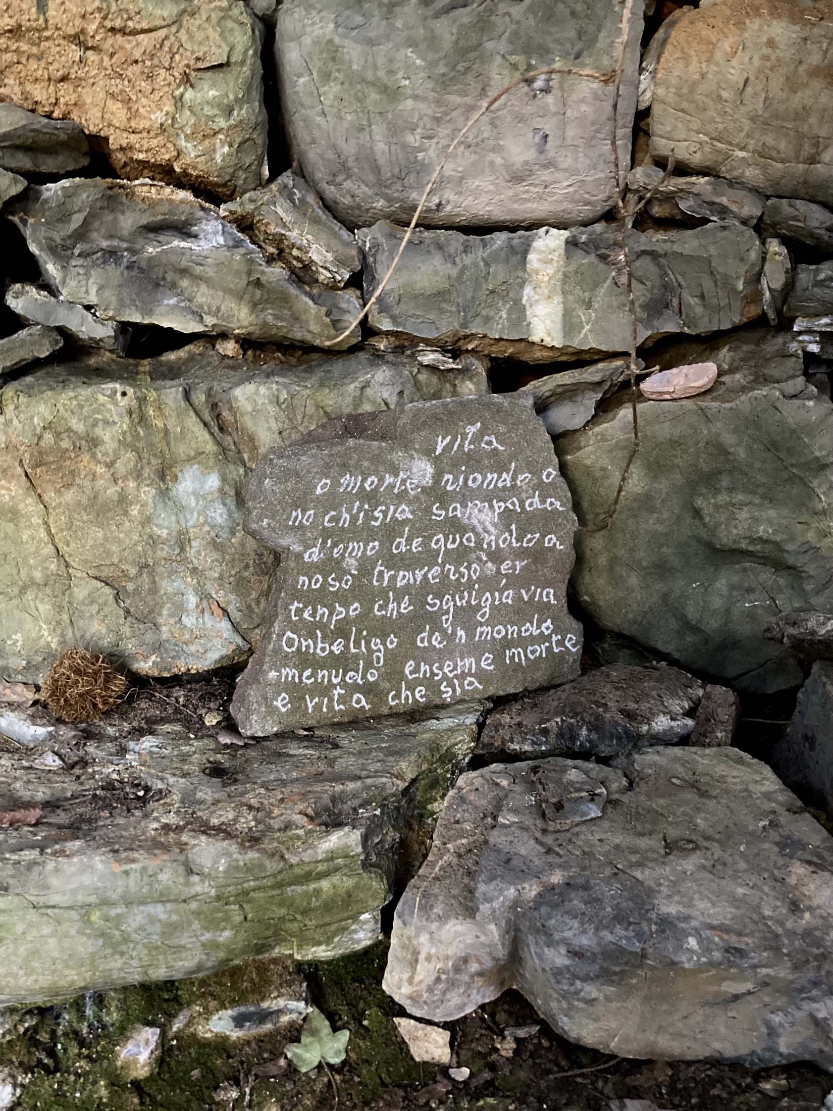 Artisti durante la residenza