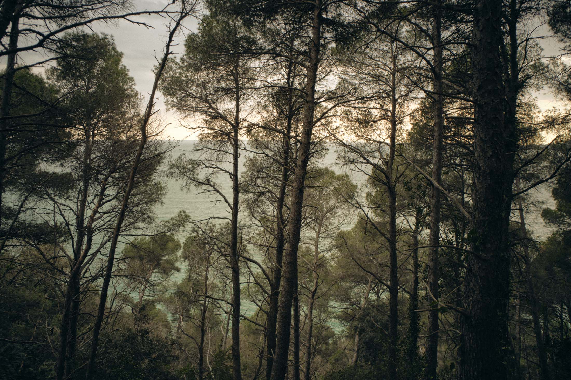 Paesaggio del territorio di APUA