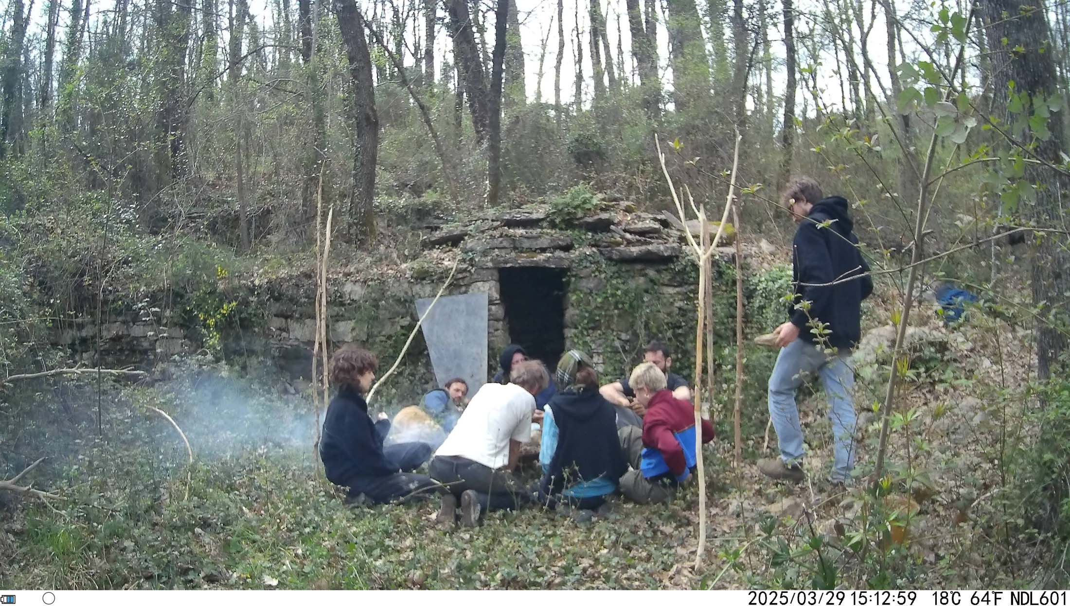 Immagine ripresa da fototrappola nel bosco