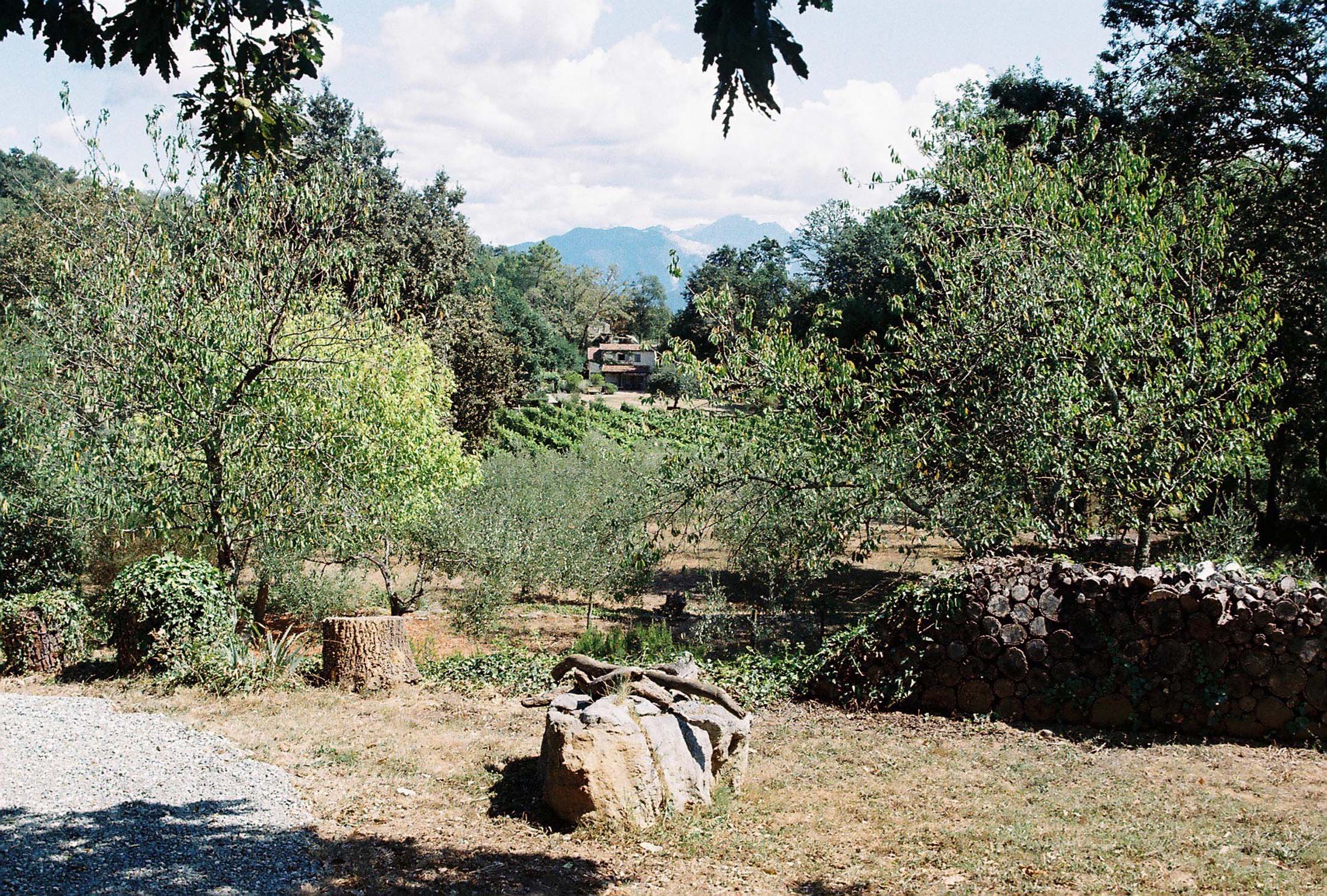 Azienda Agricola Pian della Chiesa