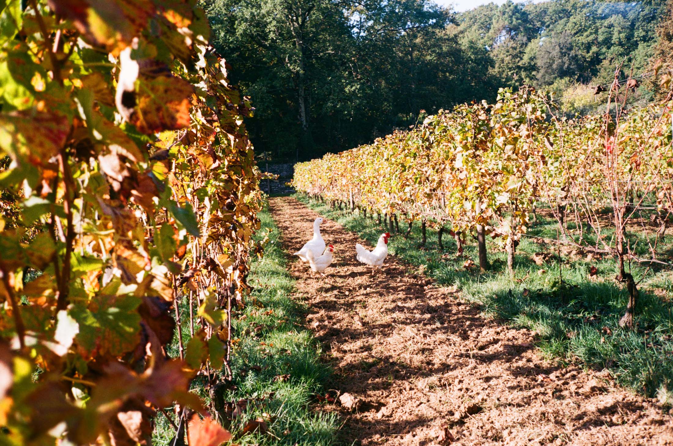 Paesaggio del territorio