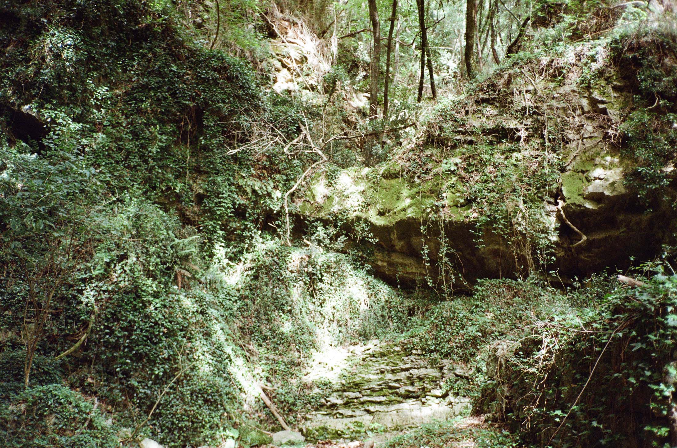 Veduta del paesaggio ligure